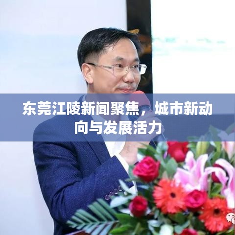 东莞江陵新闻聚焦，城市新动向与发展活力