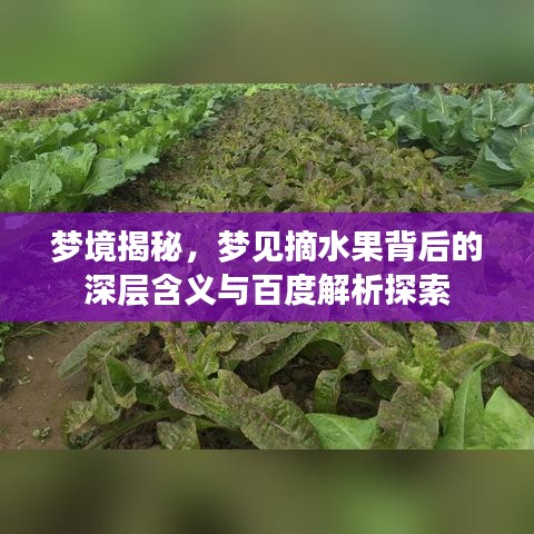 梦境揭秘，梦见摘水果背后的深层含义与百度解析探索
