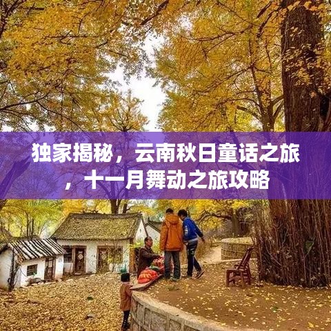 独家揭秘，云南秋日童话之旅，十一月舞动之旅攻略
