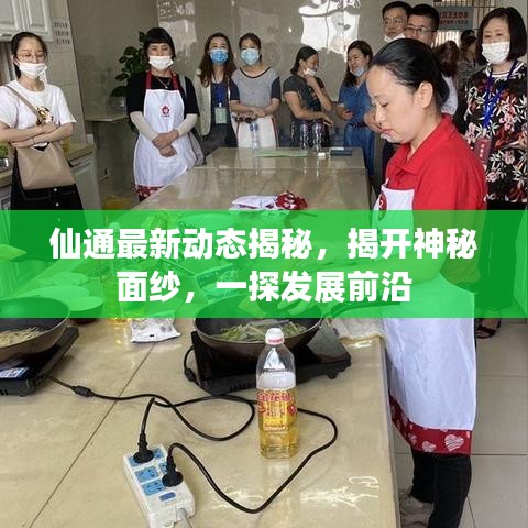 仙通最新动态揭秘，揭开神秘面纱，一探发展前沿