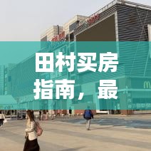 田村买房指南，最新攻略，购房者必看福音