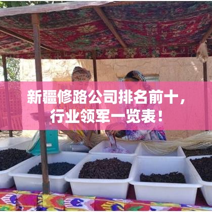 新疆修路公司排名前十，行业领军一览表！