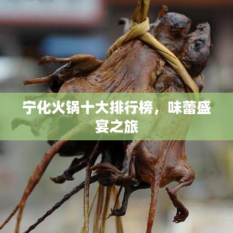 宁化火锅十大排行榜，味蕾盛宴之旅