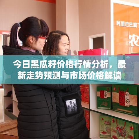 今日黑瓜籽价格行情分析，最新走势预测与市场价格解读
