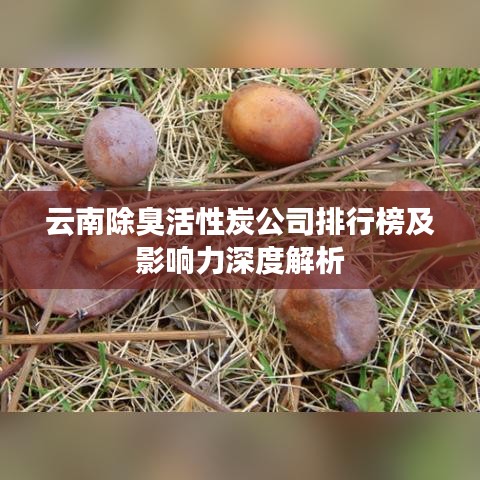 云南除臭活性炭公司排行榜及影响力深度解析