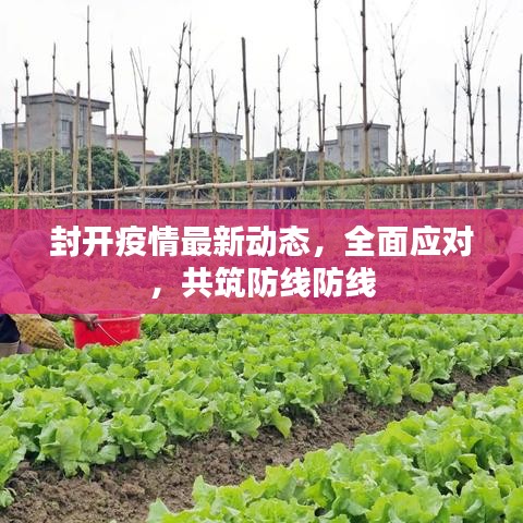 封开疫情最新动态，全面应对，共筑防线防线
