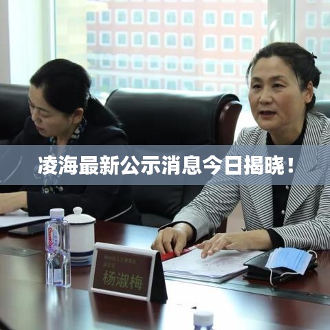 凌海最新公示消息今日揭晓！