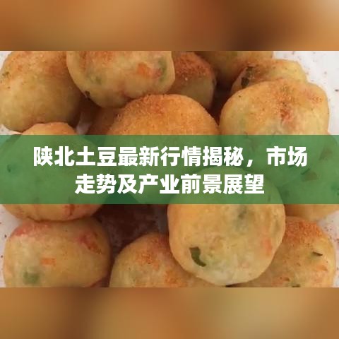 陕北土豆最新行情揭秘,市场走势及产业前景展望