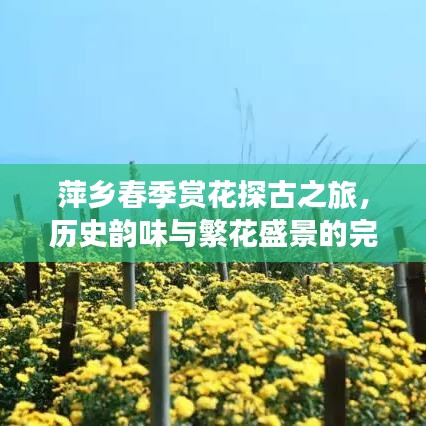 萍乡春季赏花探古之旅,历史韵味与繁花盛景的完美结合
