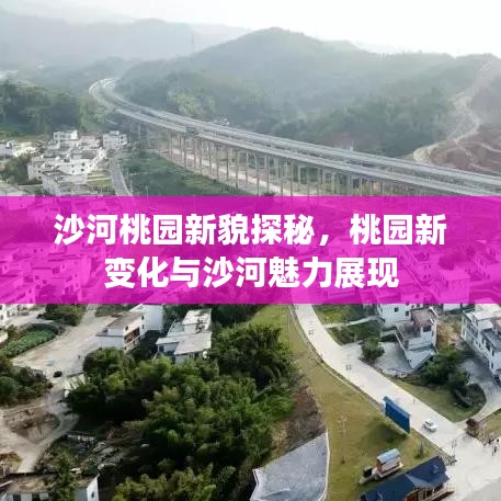 沙河桃园新貌探秘，桃园新变化与沙河魅力展现