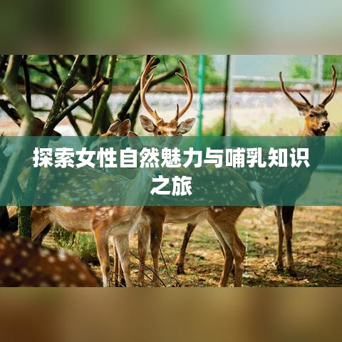 探索女性自然魅力与哺乳知识之旅