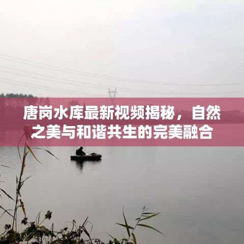 唐岗水库最新视频揭秘，自然之美与和谐共生的完美融合