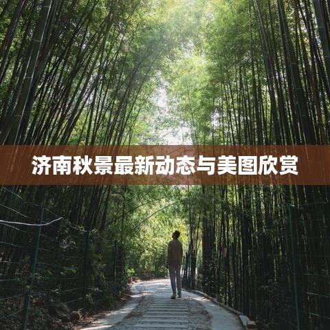 济南秋景最新动态与美图欣赏