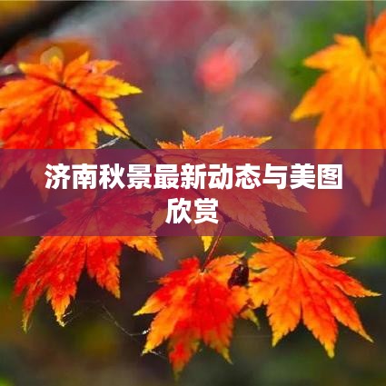 济南秋景最新动态与美图欣赏