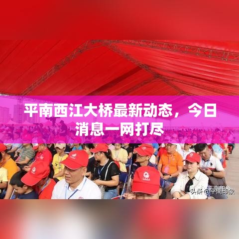 平南西江大桥最新动态，今日消息一网打尽