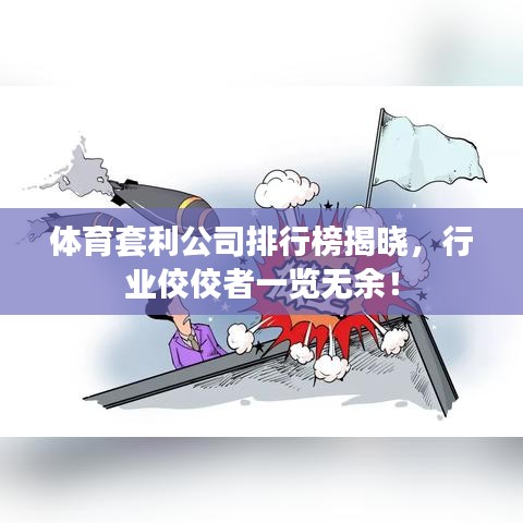 体育套利公司排行榜揭晓，行业佼佼者一览无余！