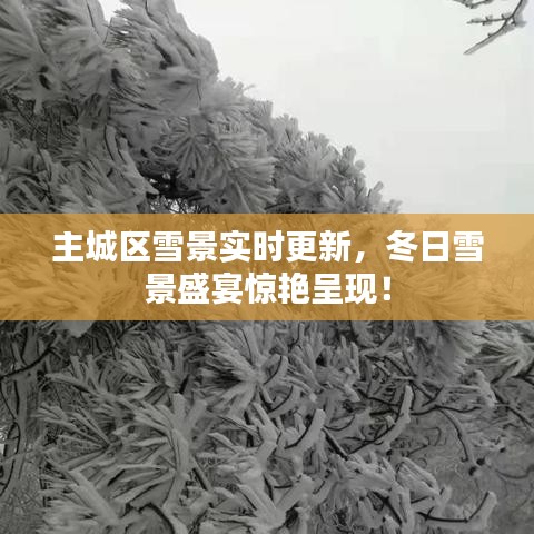 主城区雪景实时更新，冬日雪景盛宴惊艳呈现！
