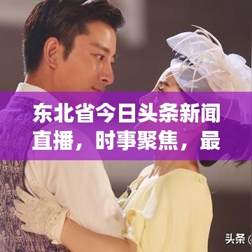 东北省今日头条新闻直播，时事聚焦，最新资讯传递