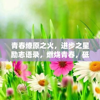 青春燎原之火，进步之星励志语录，燃烧青春，砥砺前行