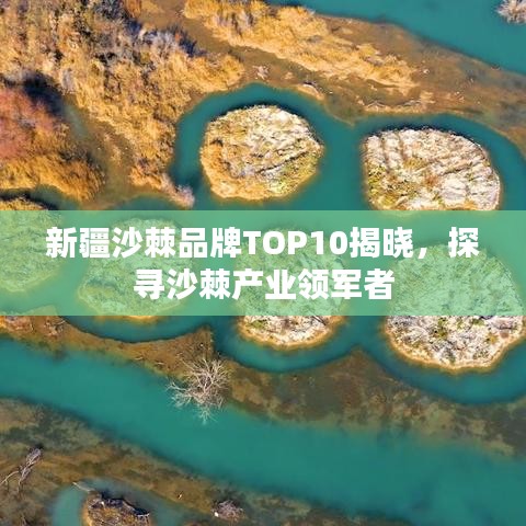 新疆沙棘品牌TOP10揭晓，探寻沙棘产业领军者