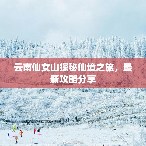 云南仙女山探秘仙境之旅，最新攻略分享