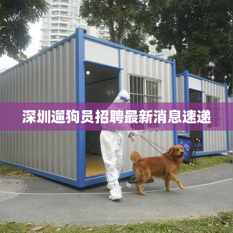 深圳遛狗员招聘最新消息速递
