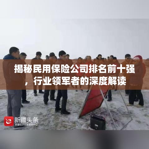 揭秘民用保险公司排名前十强，行业领军者的深度解读
