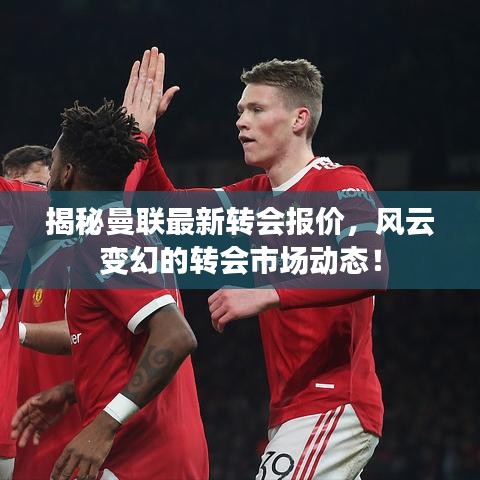 揭秘曼联最新转会报价，风云变幻的转会市场动态！