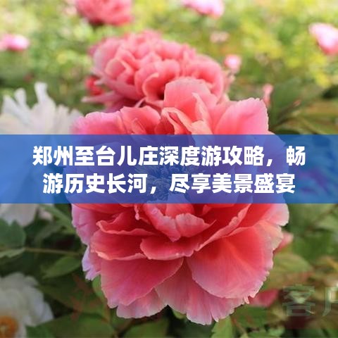 郑州至台儿庄深度游攻略，畅游历史长河，尽享美景盛宴