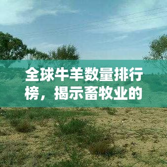全球牛羊数量排行榜，揭示畜牧业的壮阔格局