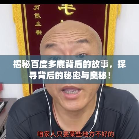 揭秘百度多鹿背后的故事，探寻背后的秘密与奥秘！