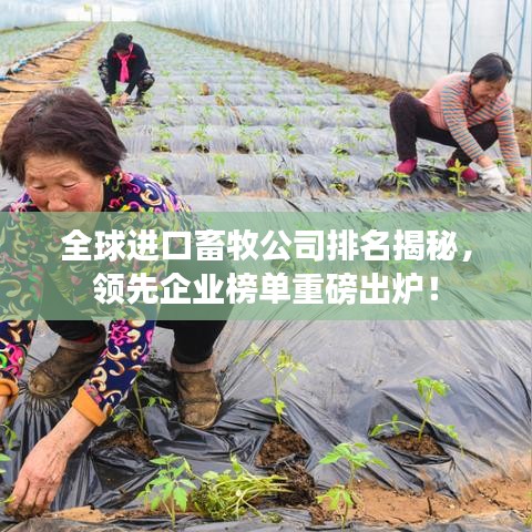 全球进口畜牧公司排名揭秘，领先企业榜单重磅出炉！