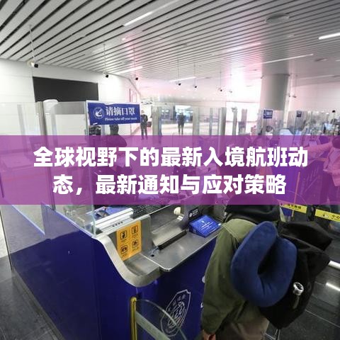 全球视野下的最新入境航班动态，最新通知与应对策略
