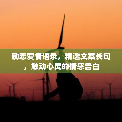 励志爱情语录,精选文案长句,触动心灵的情感告白