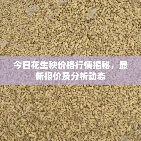 今日花生秧价格行情揭秘，最新报价及分析动态