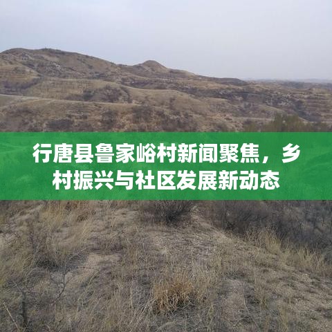 行唐县鲁家峪村新闻聚焦，乡村振兴与社区发展新动态