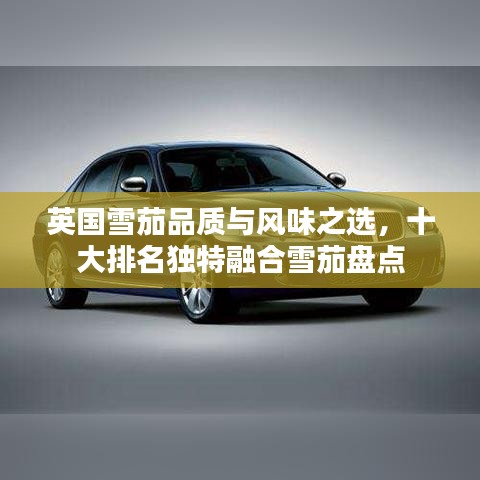 英国雪茄品质与风味之选，十大排名独特融合雪茄盘点