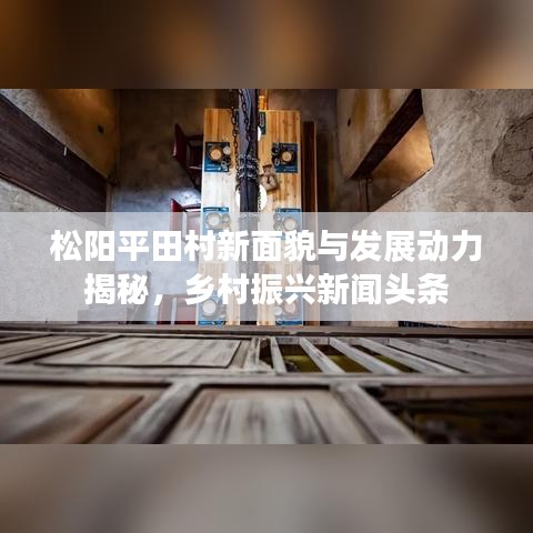 松阳平田村新面貌与发展动力揭秘，乡村振兴新闻头条