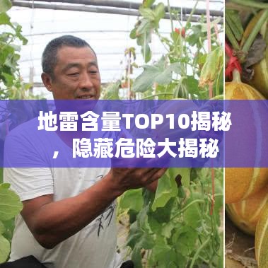 地雷含量TOP10揭秘，隐藏危险大揭秘