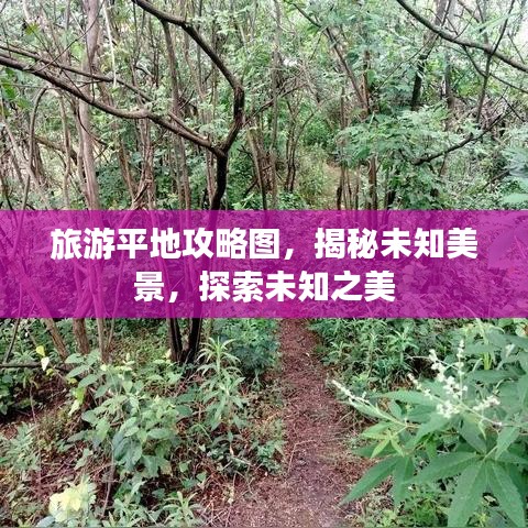 旅游平地攻略图，揭秘未知美景，探索未知之美