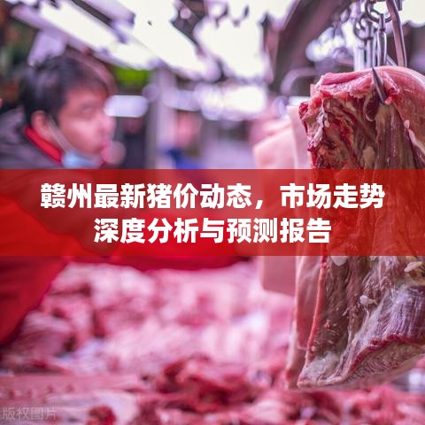 赣州最新猪价动态，市场走势深度分析与预测报告