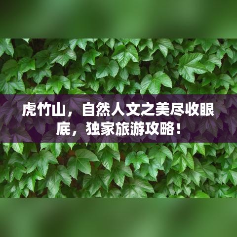 虎竹山，自然人文之美尽收眼底，独家旅游攻略！