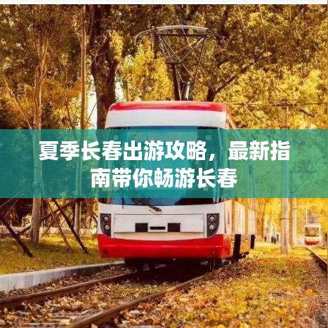 夏季长春出游攻略，最新指南带你畅游长春