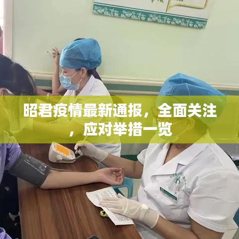 昭君疫情最新通报，全面关注，应对举措一览
