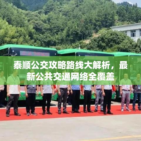 泰顺公交攻略路线大解析，最新公共交通网络全覆盖