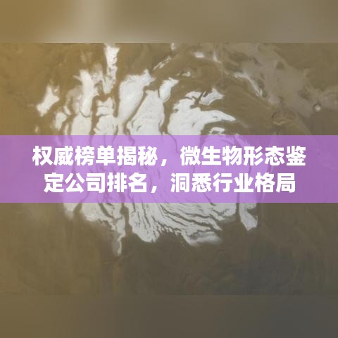 权威榜单揭秘，微生物形态鉴定公司排名，洞悉行业格局