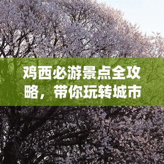 鸡西必游景点全攻略,带你玩转城市魅力之旅