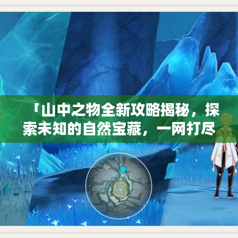 「山中之物全新攻略揭秘，探索未知的自然宝藏，一网打尽！」
