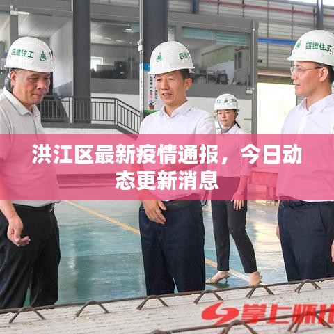 洪江区最新疫情通报，今日动态更新消息