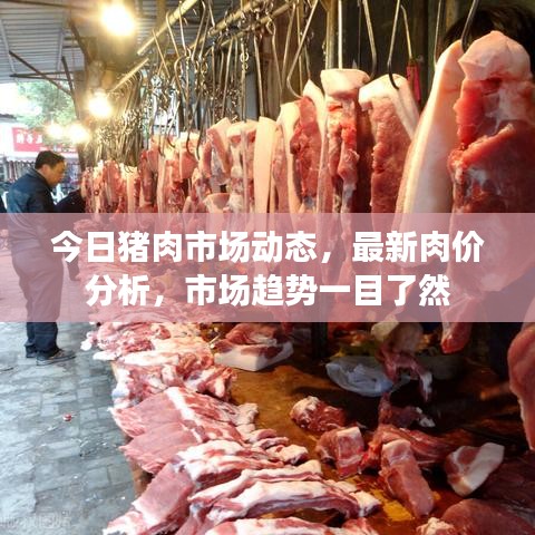 今日猪肉市场动态，最新肉价分析，市场趋势一目了然